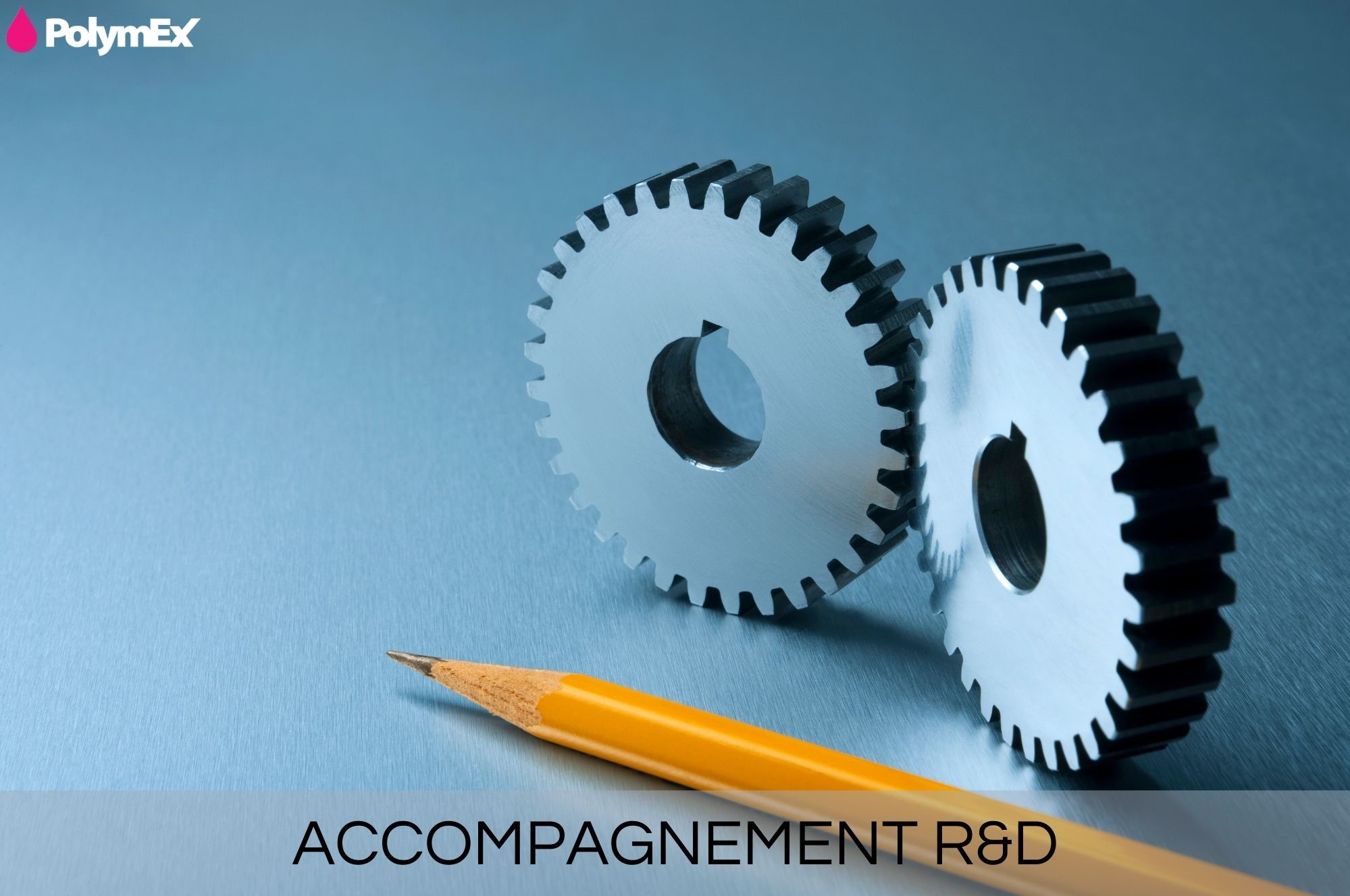 Accompagnement - Recherche et Développement