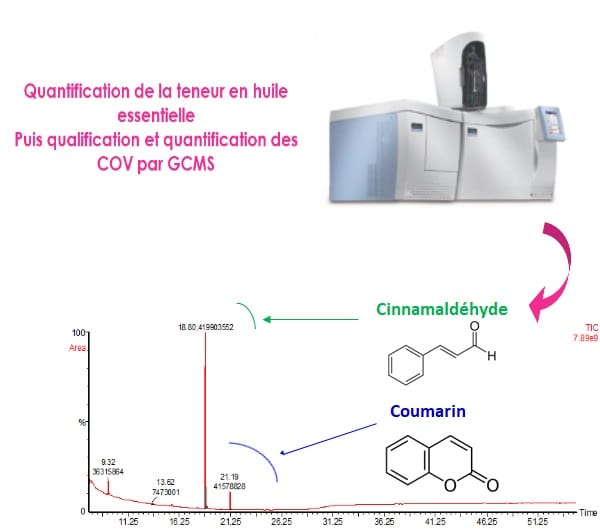 Quantification et qualification